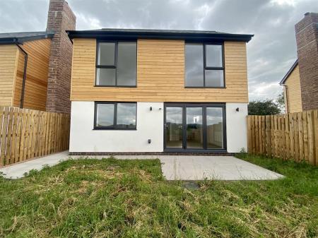 Rear Aspect