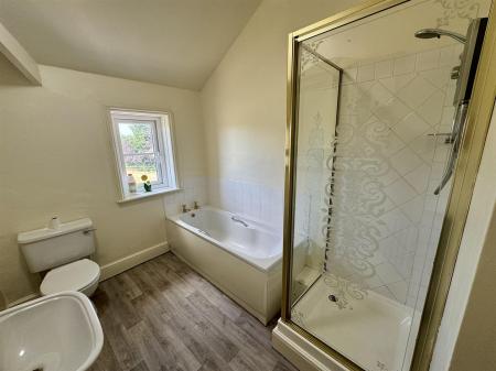 Bathroom 1 (1/2)