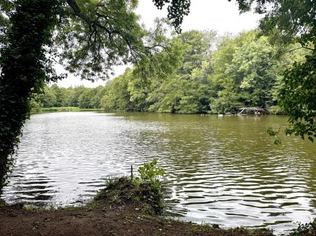 Newent Lake