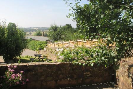 view.jpg