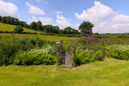 garden-3.jpg