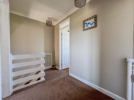 2 Cob Meadow-9