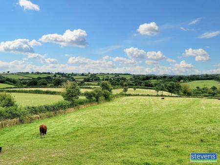Acorns East View