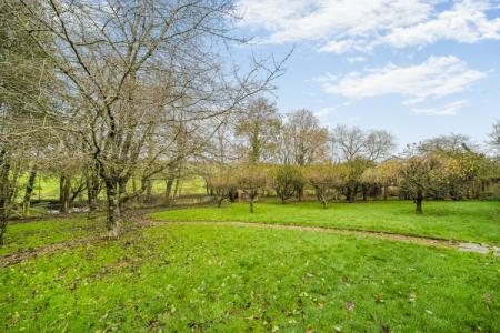 1384788-23-692eedb61bac4