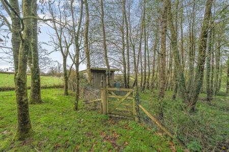 1384788-32-692eef8e5ca18