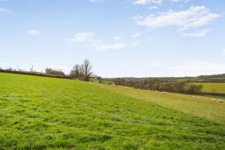 1384788-31-692eef8a06e43