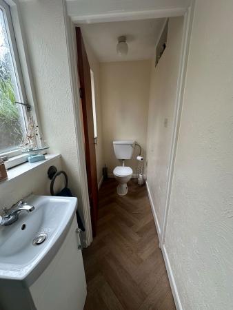 image10