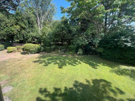 image3