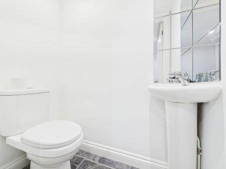 image5