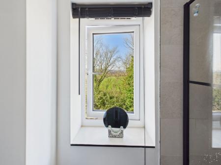 image11