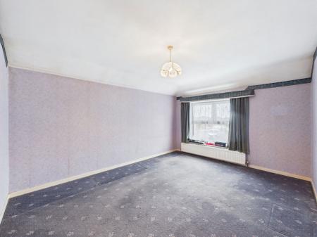 image11