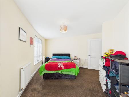 image12