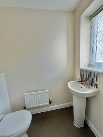 image7
