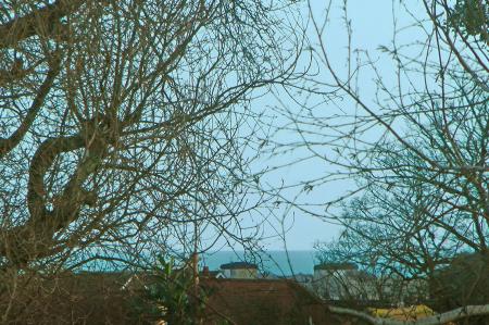 image12