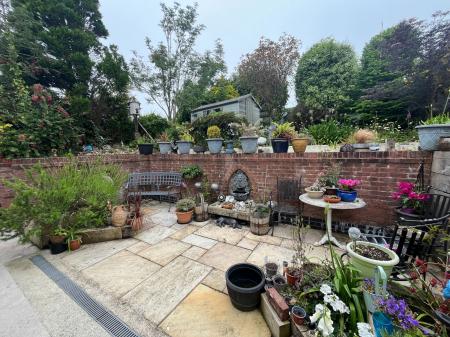 image11