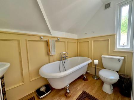 image7