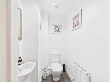 image7