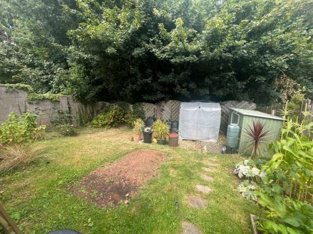 image12