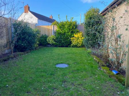Back garden 2.jpg