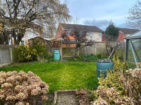 garden 1.jpg