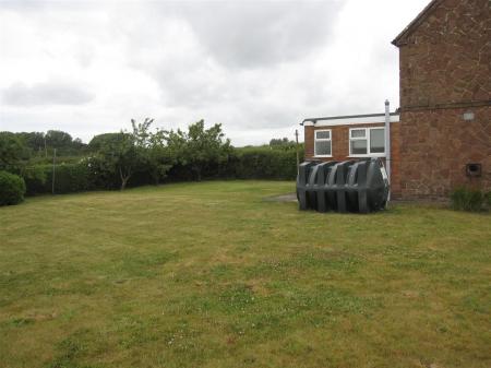 Garden 2.JPG
