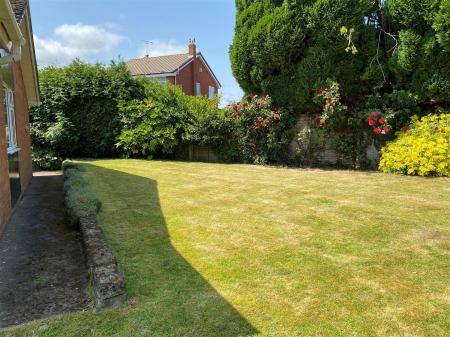 Garden 3.jpg