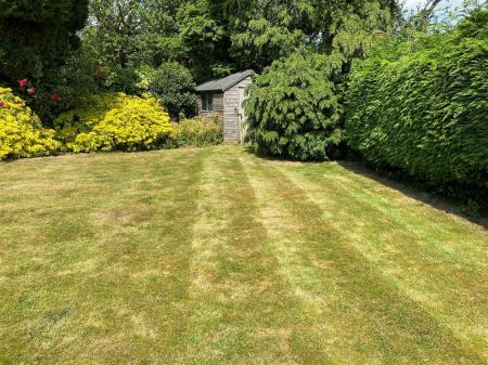 Garden 1.jpg