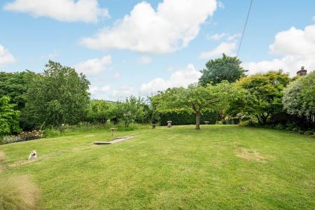 Garden_1.jpg