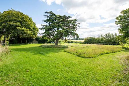 Garden_and_Grounds_13.jpg