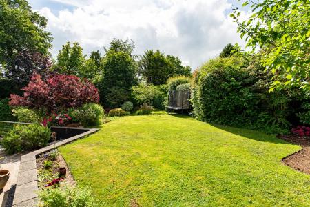 Garden_1.jpg