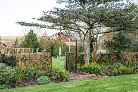 Garden_6.jpg