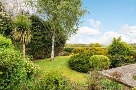 Garden_1.jpg