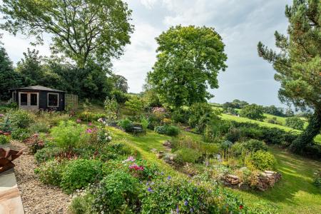 Garden_6.jpg