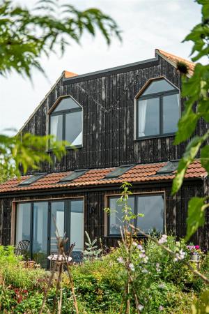 Exterior_4.jpg