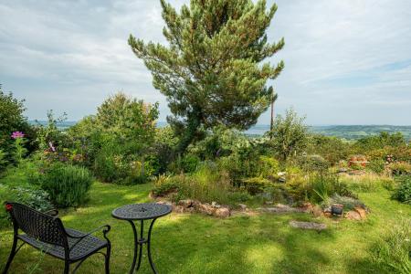 Garden_5.jpg