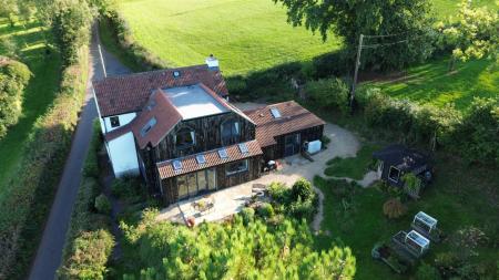 Bellhorse - back shot.JPG