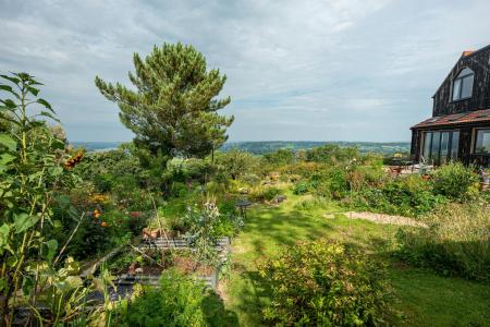 Garden_4.jpg