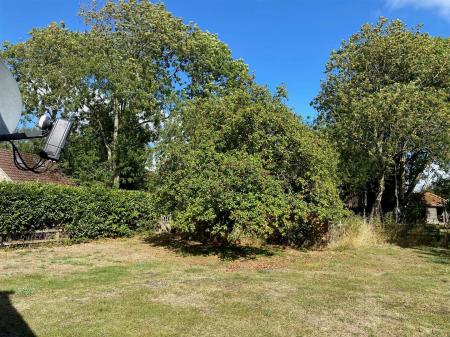 garden 2