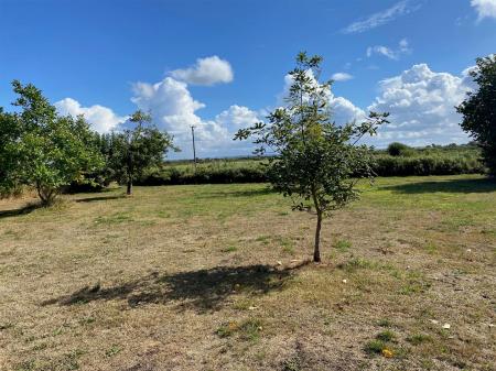 garden 3