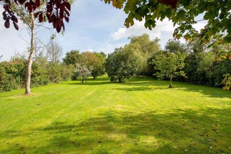 Garden_3.jpg