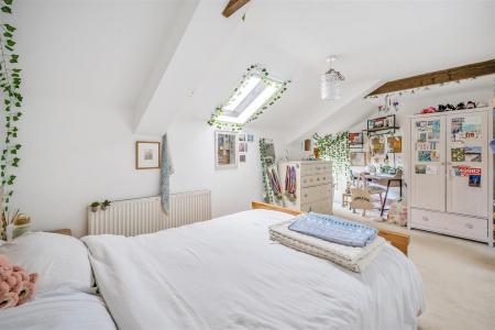 65026774e38e1-1031869 (15).jpg