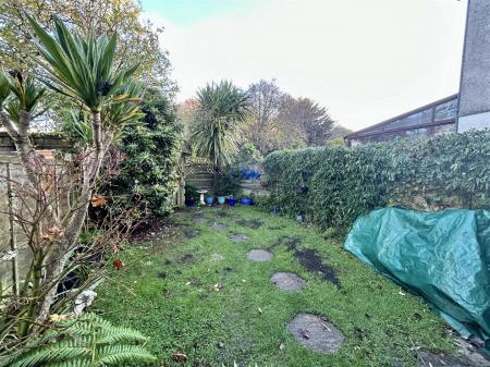 Back Garden