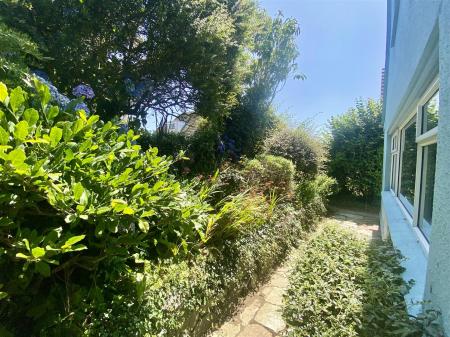IMG_3976.jpeg