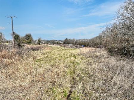 East Boundary View