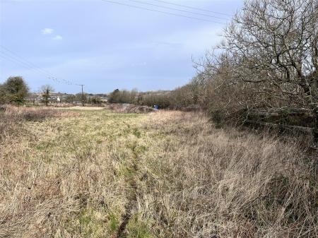 East Boundary View