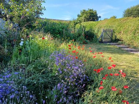 Upper garden to Veggie plot