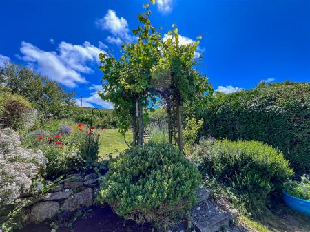 Looking from lower garden up