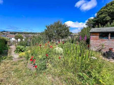 Vegetable Plot