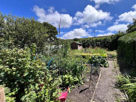 Veggie PLot