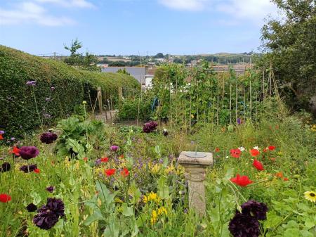 Veggie plot
